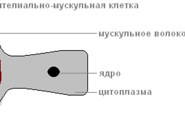 Кракен в россии наркотик