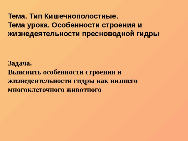 Kraken рабочее зеркало onion