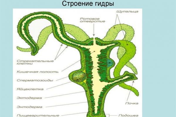 Кракен официальный сайт ссылка