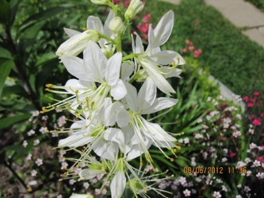 ���������� ������ �� �����������: ������� � ����������, ������� ������� �����������