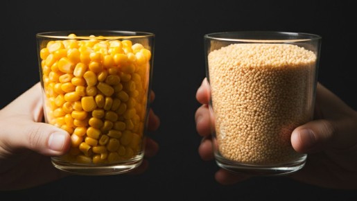 ������ � �������: ������� � ������� ������ ���������� ����