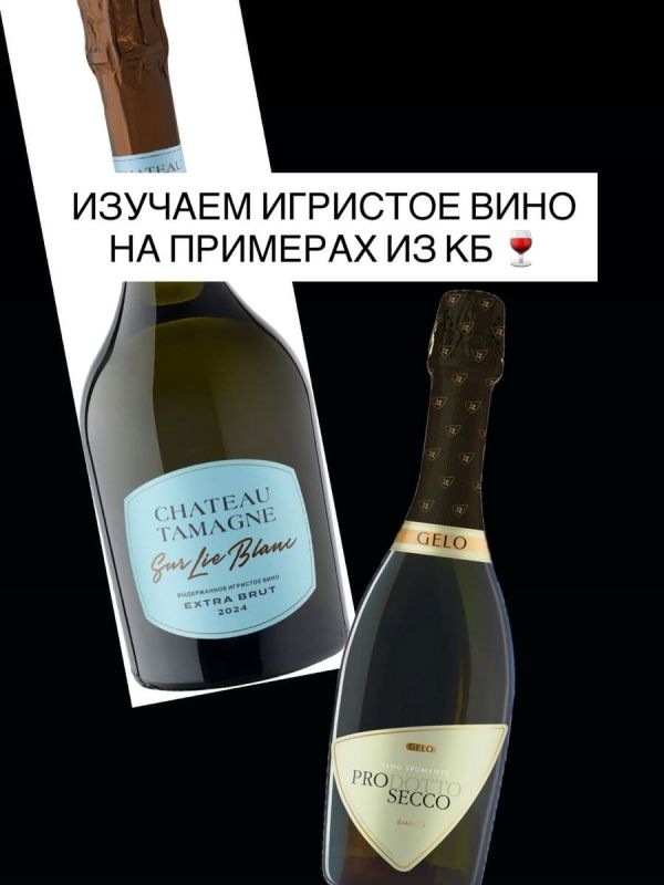 Искусство выбора игристых вин: как не ошибиться при покупке