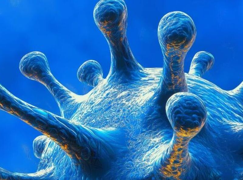 ��������� ������� ���������� ����: ������� �������������� � ������ �����