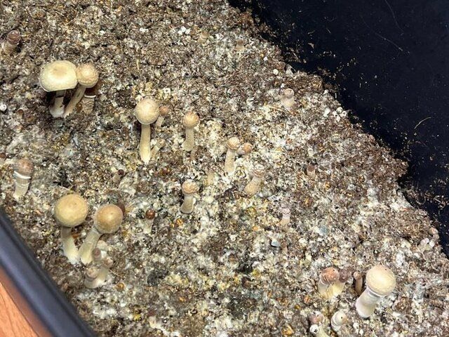 �� ��������� �������� �������� ������� ��� �������� �� ��������������� ��������������� ������