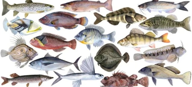 ����, ������� �����������: ��� ����� �������� ������ ��� ��������