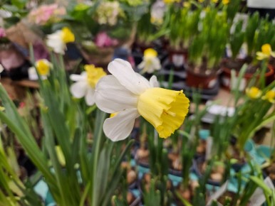 ��������� �������� ������� � 8 �����: �������� � �������������