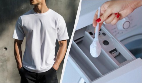 ��� ������� ������� ������� �����: ������ �� �����