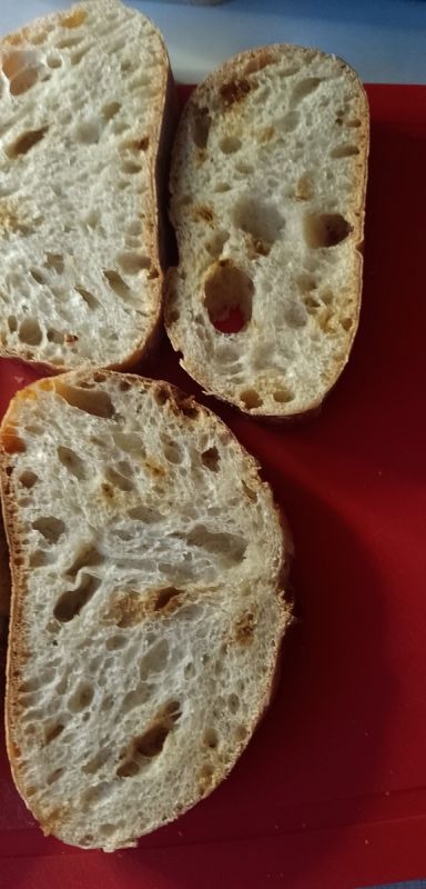 ���� ������: ��������� � ���������� � ������