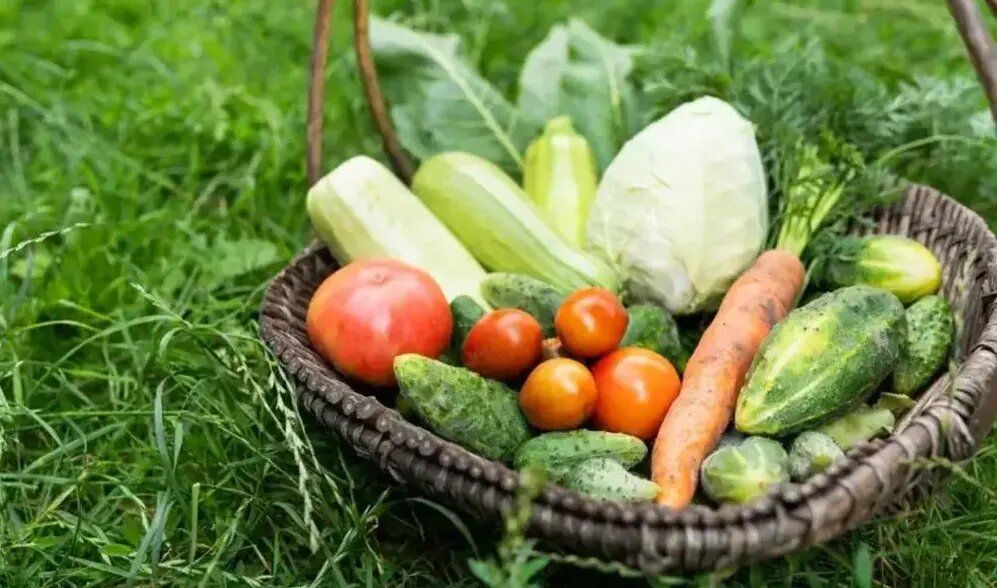 ��������� ������� ������: ������ �� ������ ������ ����� �������� �������