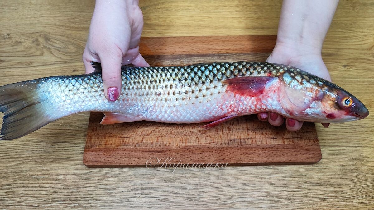 ������ ��������� ������ � ����� �� 30 �����