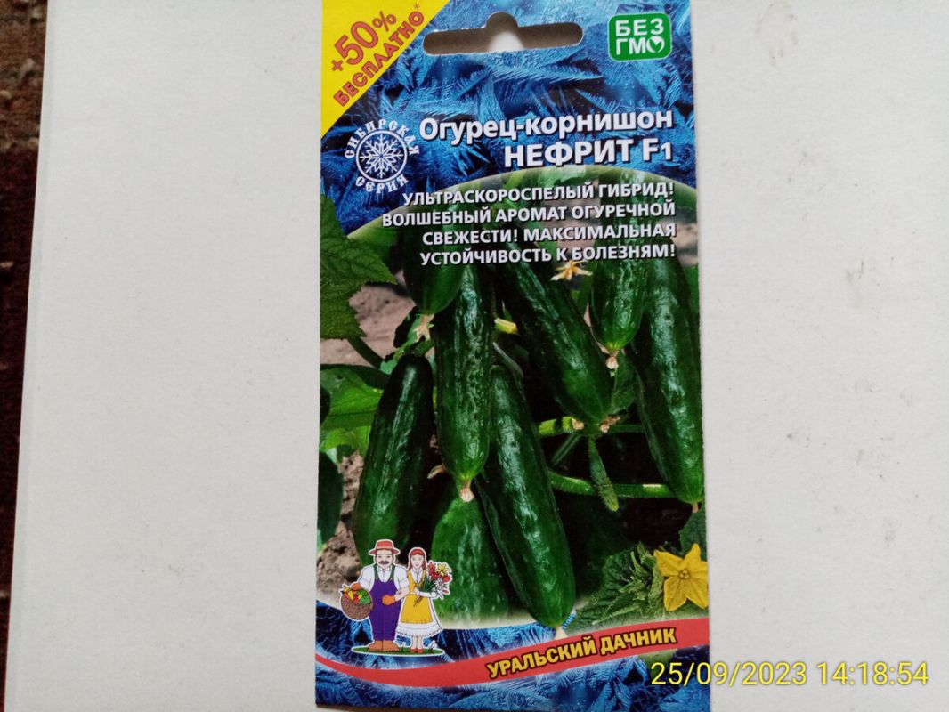 ������ ������: ����������� � ������������ �������������� ������ �������