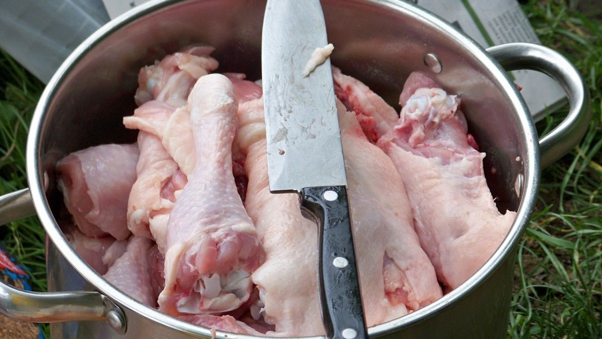 Как сделать покупку курицы безопаснее: секреты снижения химикатов