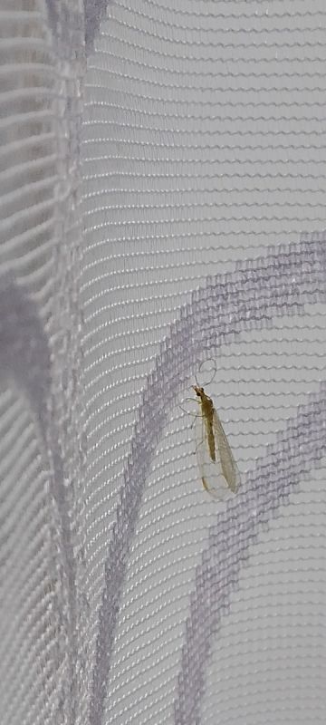 Воспоминания октября: Как время летит незаметно