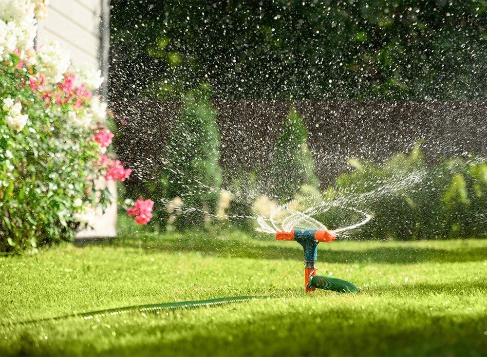 Как правильно поливать газон в жаркие летние дни: советы по уходу за травой