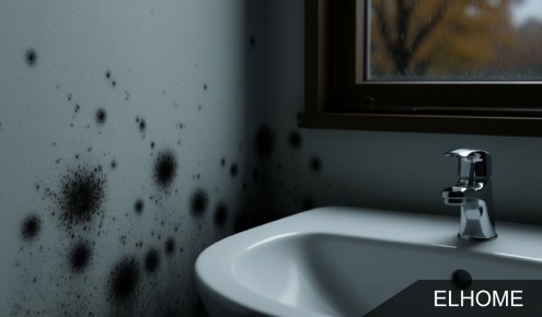 Плесень в вашем доме: как ее обнаружить и с ней бороться после жаркого лета