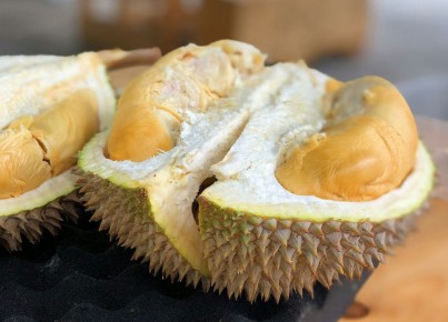 ������������ ������: ���������, ������ ���������