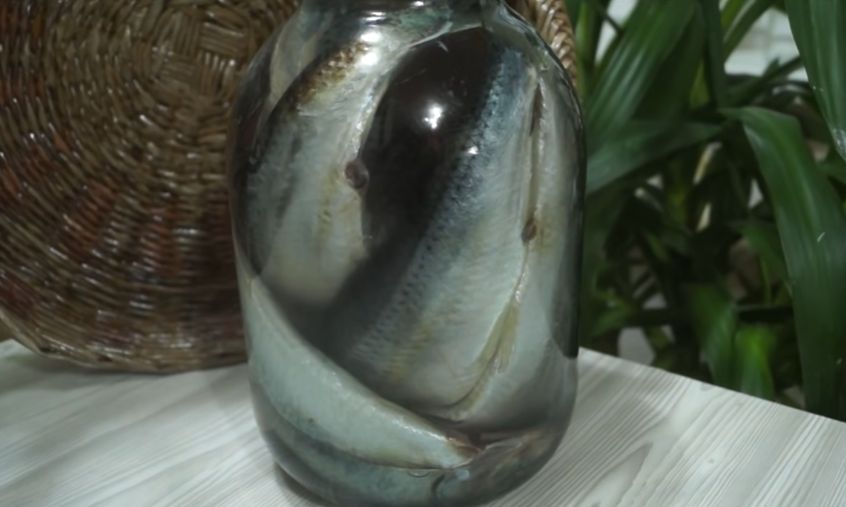 ��� ������ ������� ����: ��������� ������ ��� ��������� ����