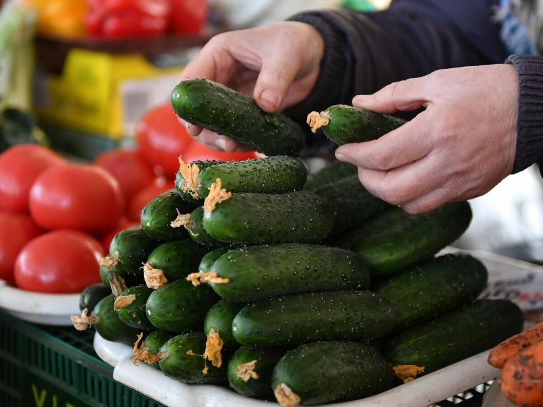 ����� ����� ����������: ������ ��������