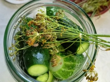 ������ ������: ��� ������� ������ �� ���� ������ � ������