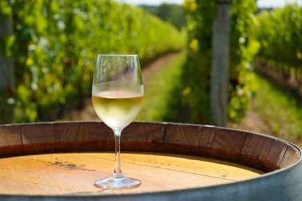 Биодинамическое виноделие: гармония с природой или миф?