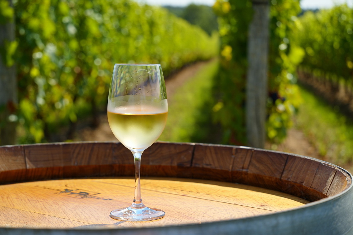 Биодинамическое виноделие: гармония с природой или миф?