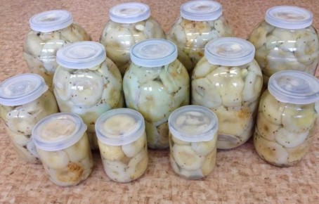 Соленые белые грузди: секреты холодной засолки