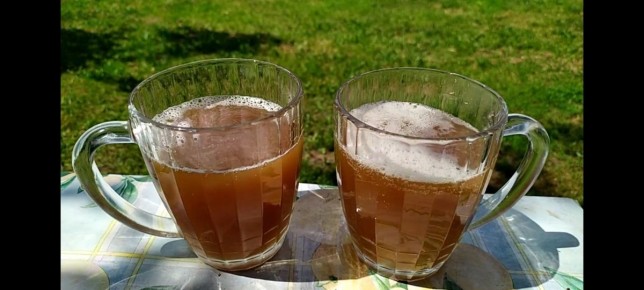 ���� �� �������: ������� ������ �� �������� �����