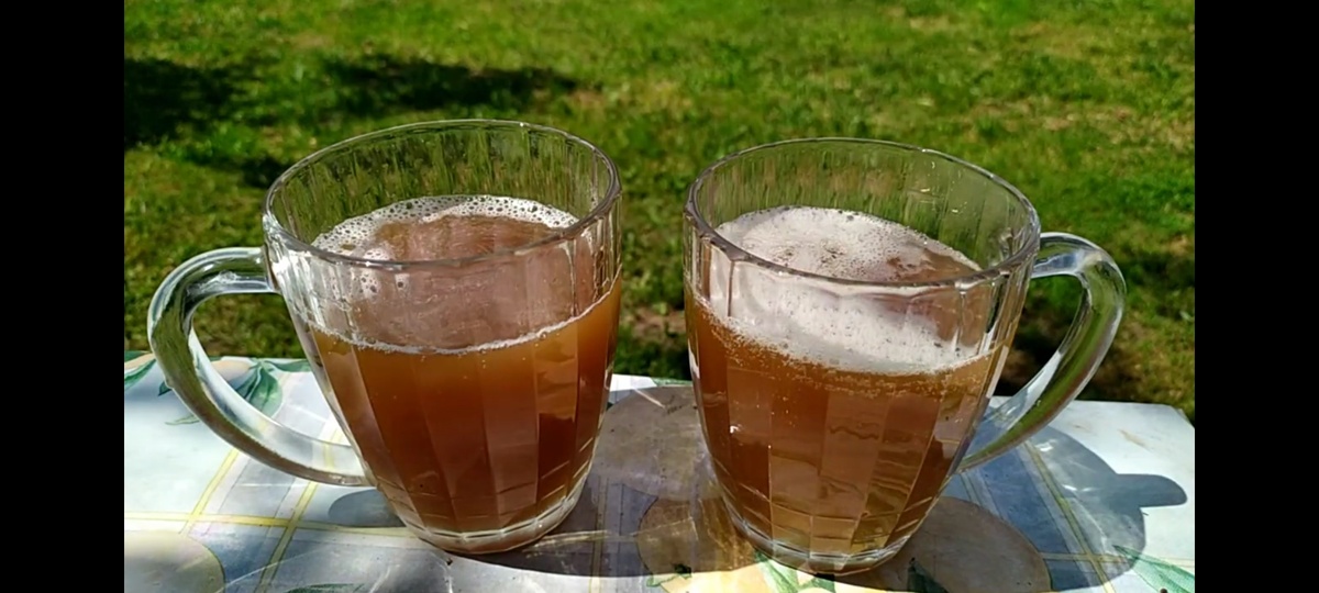 Квас из цикория: Быстрый рецепт на домашней кухне