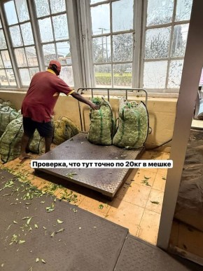 ���������� ���: �� ���� �� ���������� ������