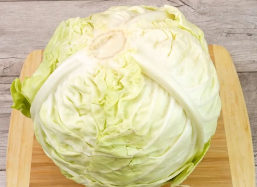 ����� ������ �������� �������: ������� ������� ��� ������