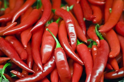 Лучшие сорта горького перца для посева в феврале