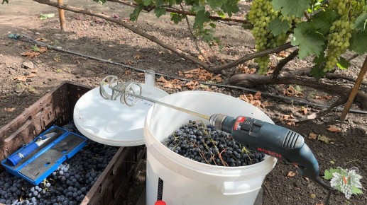 ��� ������ ����������� ���� � �������� ��������: ��������� ������ � �������