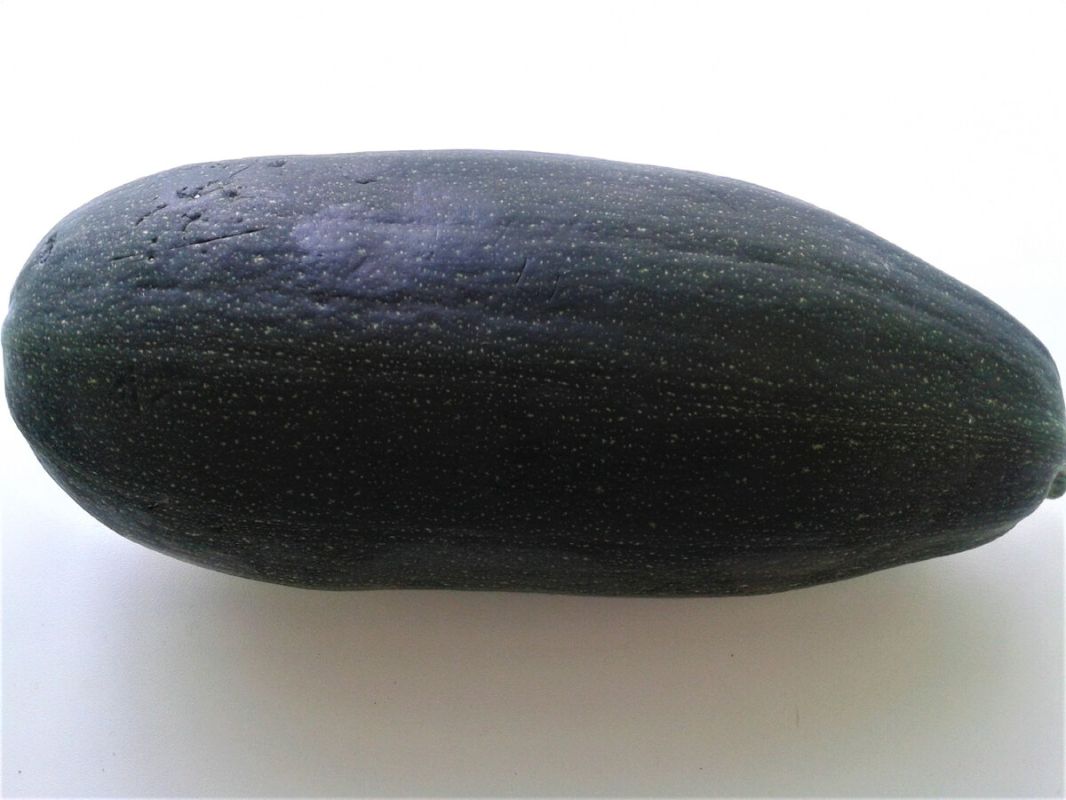 ������ ������ ����� � �������� � ��������: ������� � ������� ������