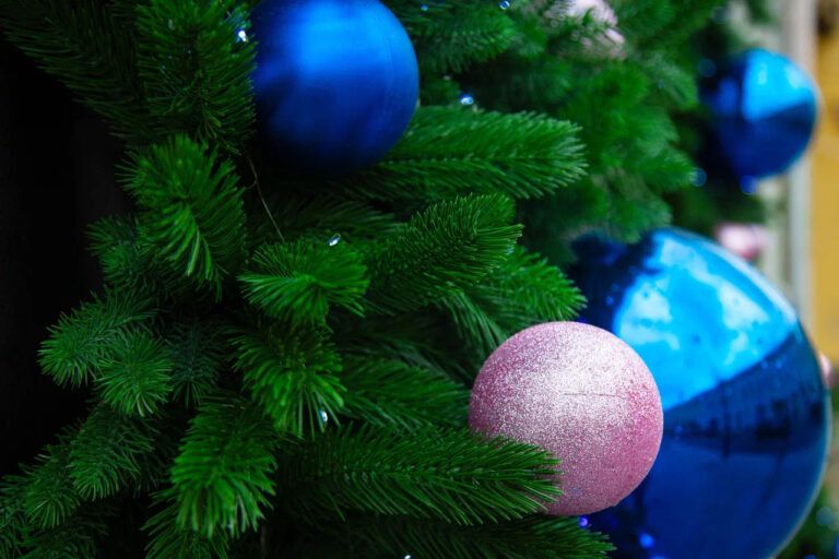 ��� �������� ��������� � ������������� � ��� ������� � �������: ������ ���������