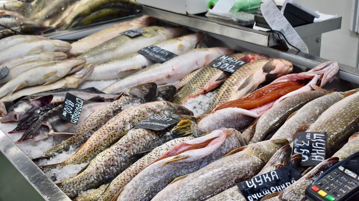 Красноярские гурманы выбрали лучшие магазины рыбы