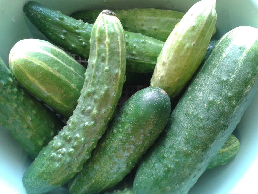 ���� �� ���������� �������: ������� ������ �� ����