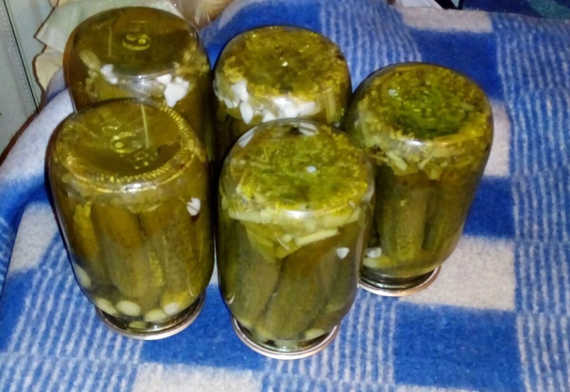 ��������� ������ ������������ ����� � �������: ����������� ������ ������������ �������