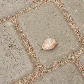 ���� ��� �������� ������� � ��������