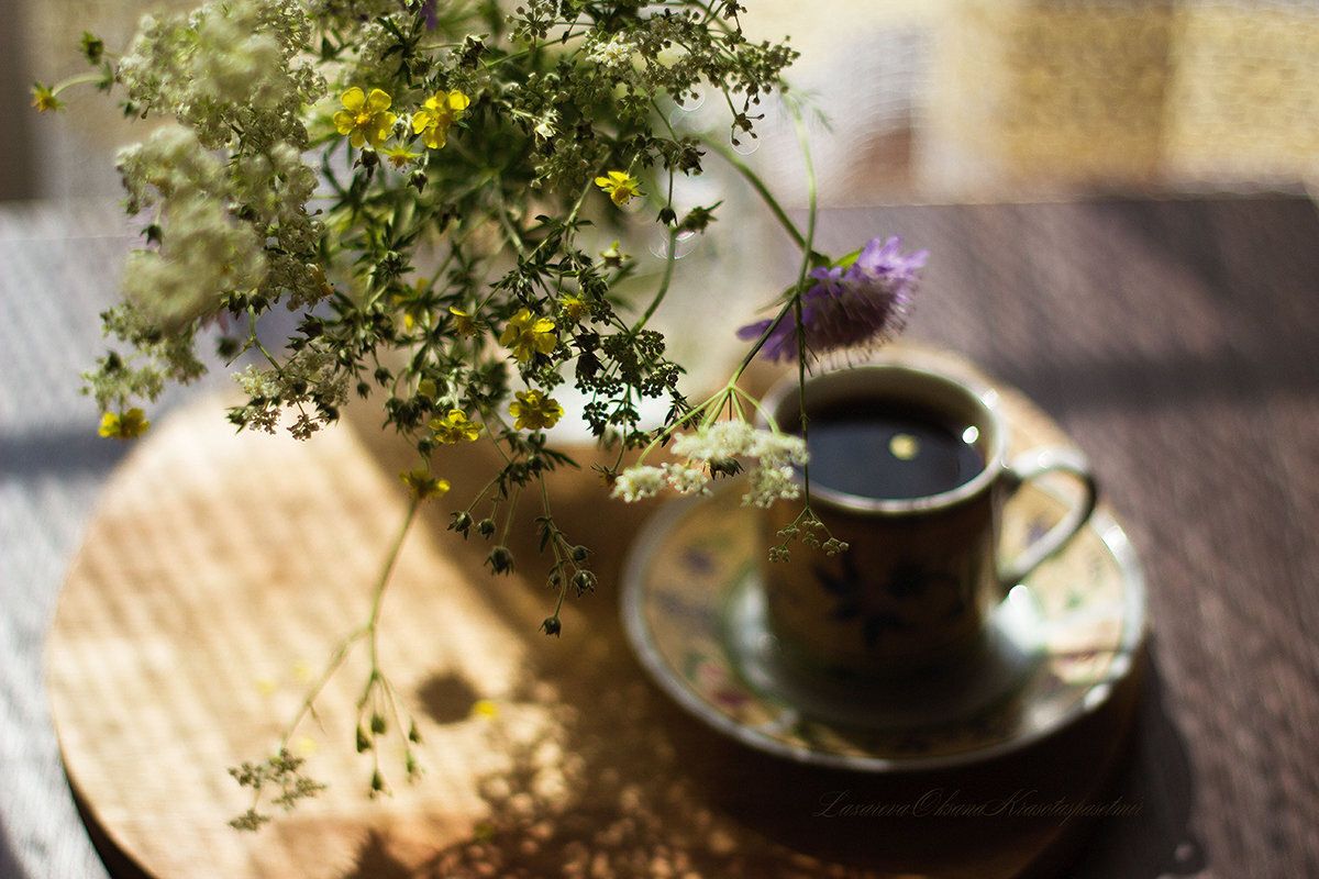 Настя и Дмитрий: Неожиданный поворот в офисной жизни