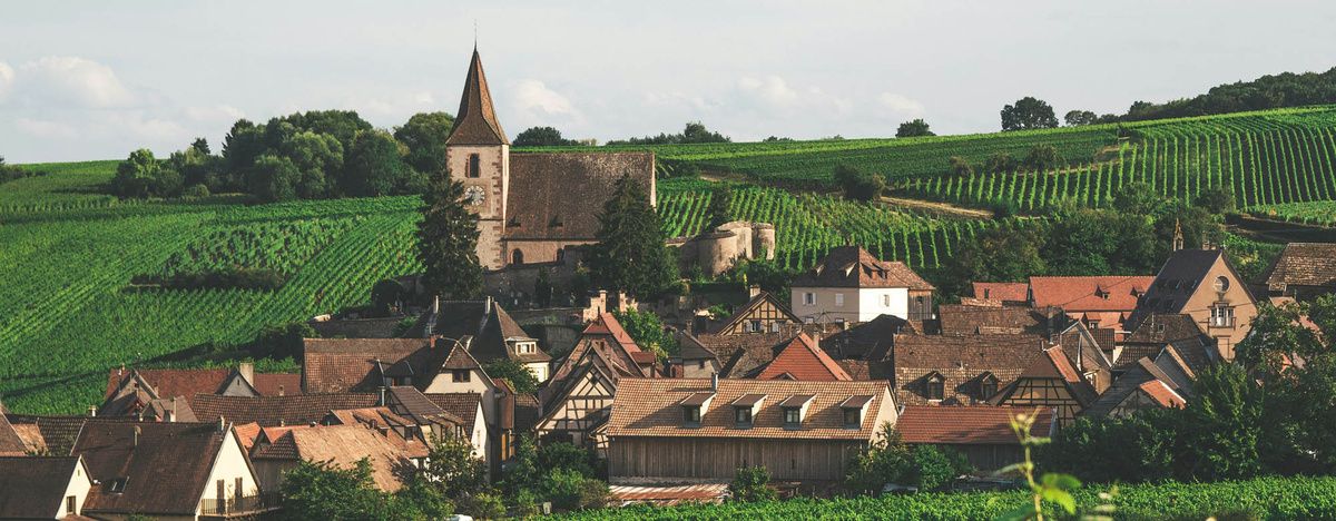 Бургундия: винный сокровищница Франции