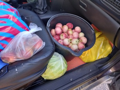 ��� ������������ ������ �������� ��������� �� ���