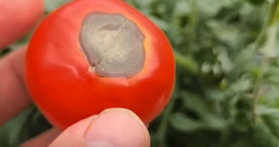 ��� ������ ������ �� ��������� �����: ����������� ������ � ����