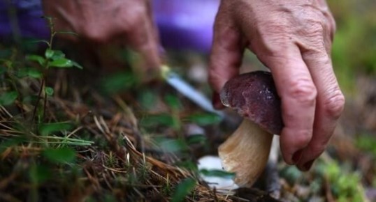 ������� �������: � ���� ������� GPS-����� ��� ������ ������� ������