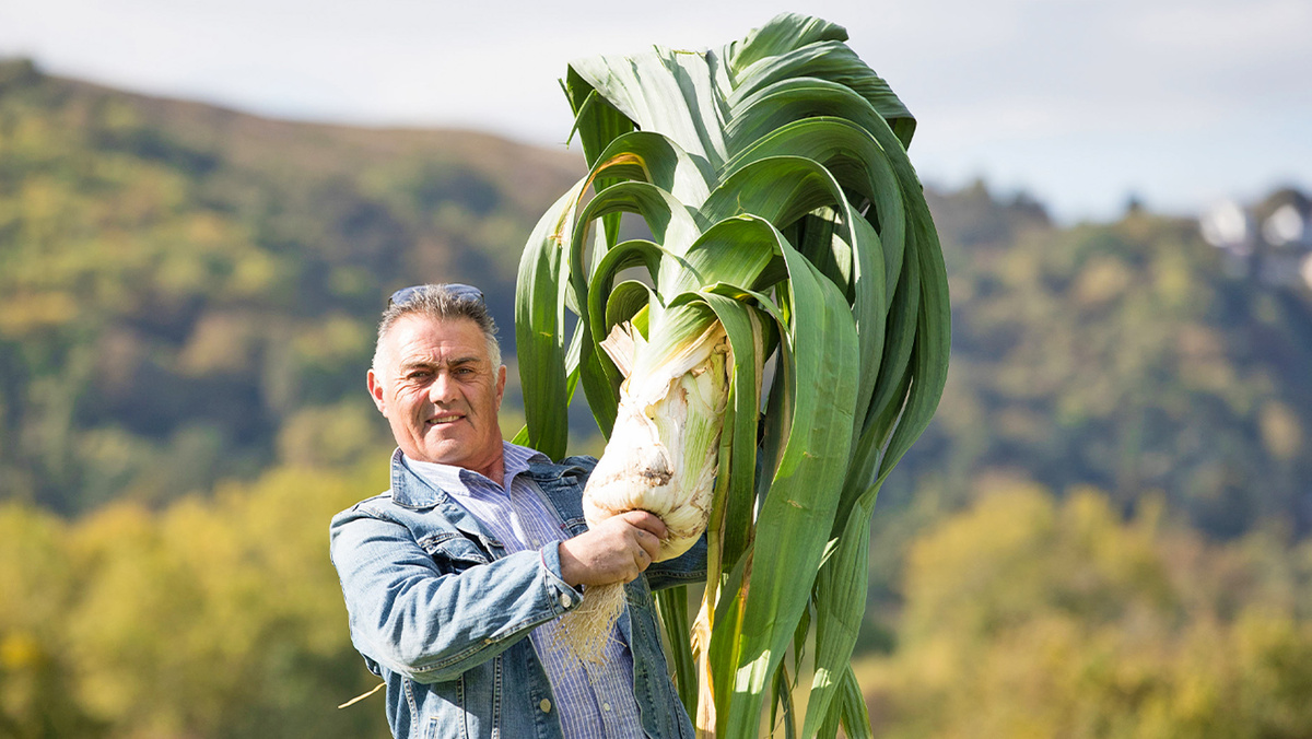 Необычный рекорд: В Великобритании вырастили лук-порей весом более 10 килограммов
