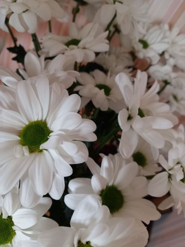 ������������ ���������� �������: �� ������� ���� �� ��������� �������