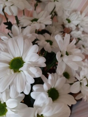 ������������ ���������� �������: �� ������� ���� �� ��������� �������