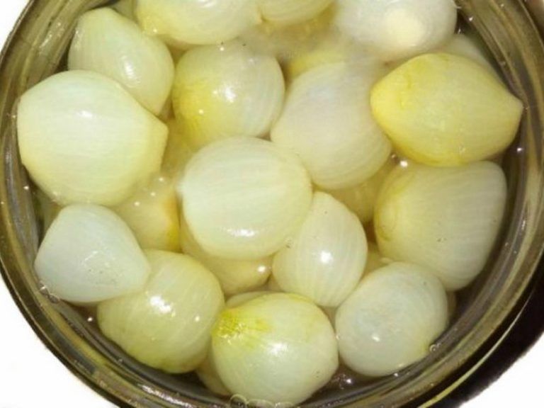 ��������� ������������ ���-�����: �������� � ���� ���������� ����� �� ����� �����