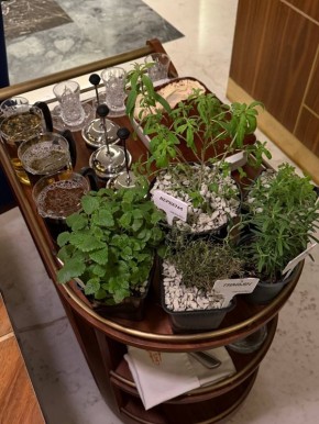 ������ ���������, ������� ��������� ��� � ��� ������������