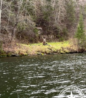 ������� ����� � ������� ���� � ����������� �������������