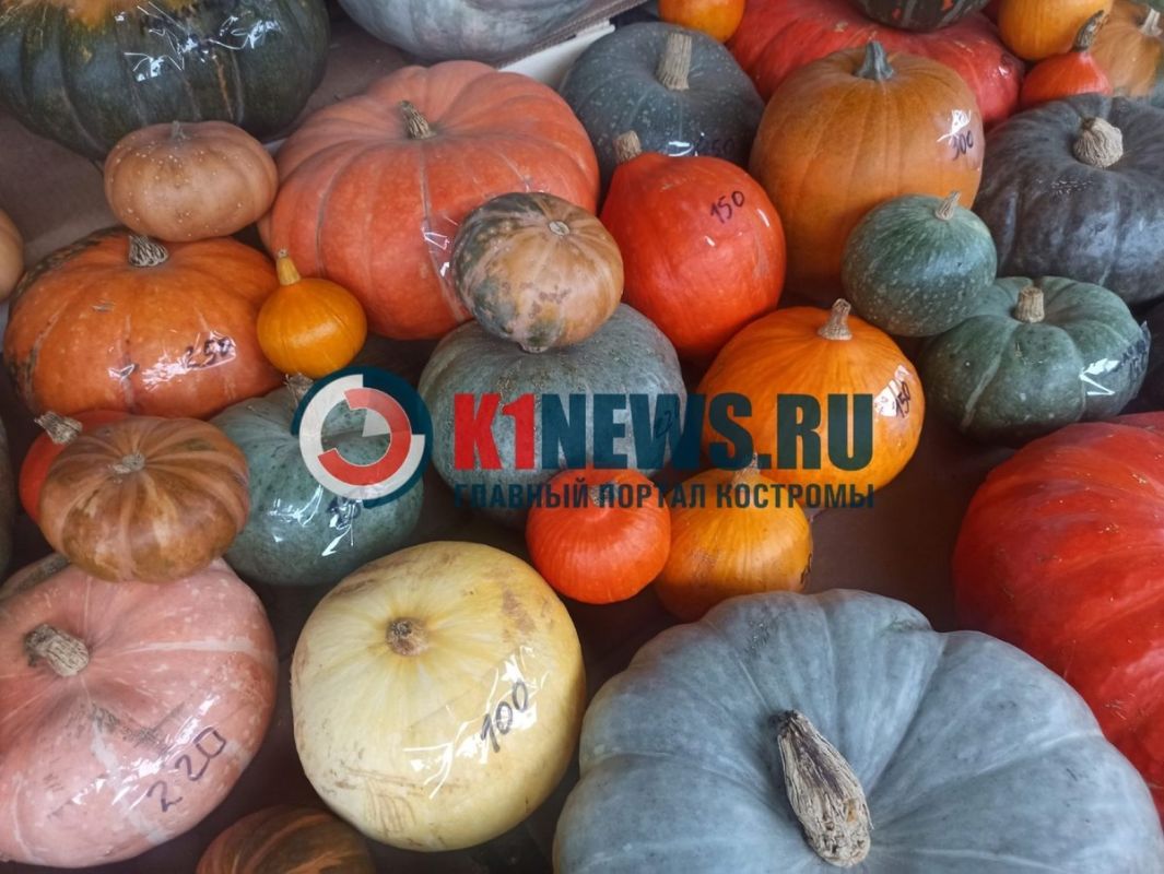 ��������� ����: ���, ��� ����� ����� � ��������� � ��� ���������� ���������